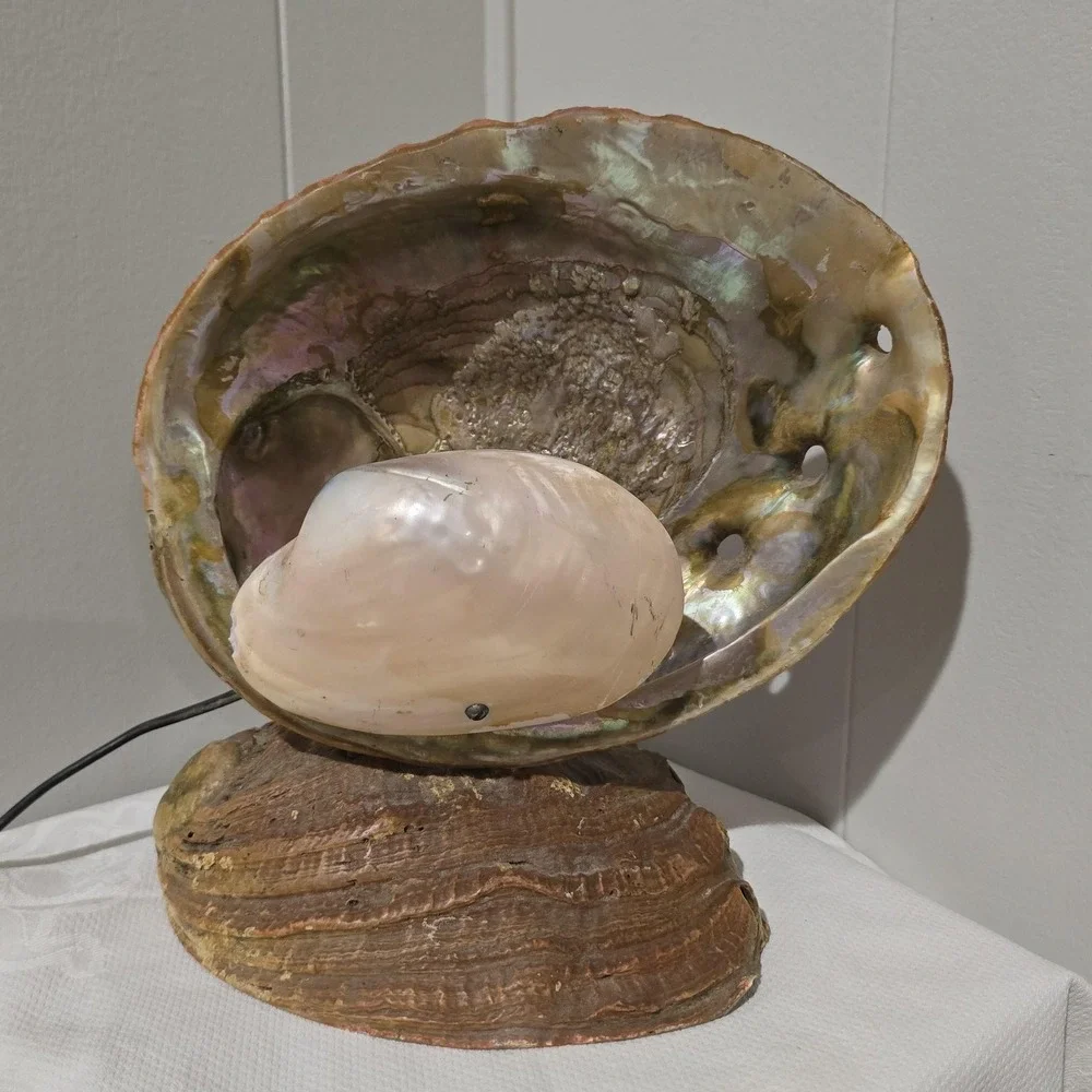 Vintage 60s Abalone Shell Lamp Mother of Pearl Coastal Beach Decor Night Light